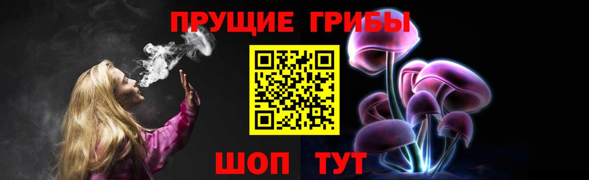 Галлюциногенные грибы Cubensis Зеленокумск